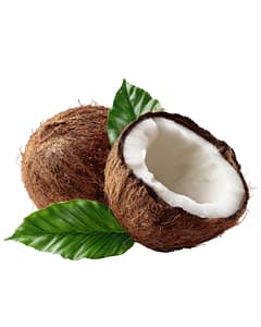 happy_20251227_200549_0000